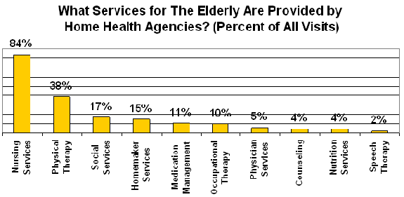 Services Provided by Home Health Agencies