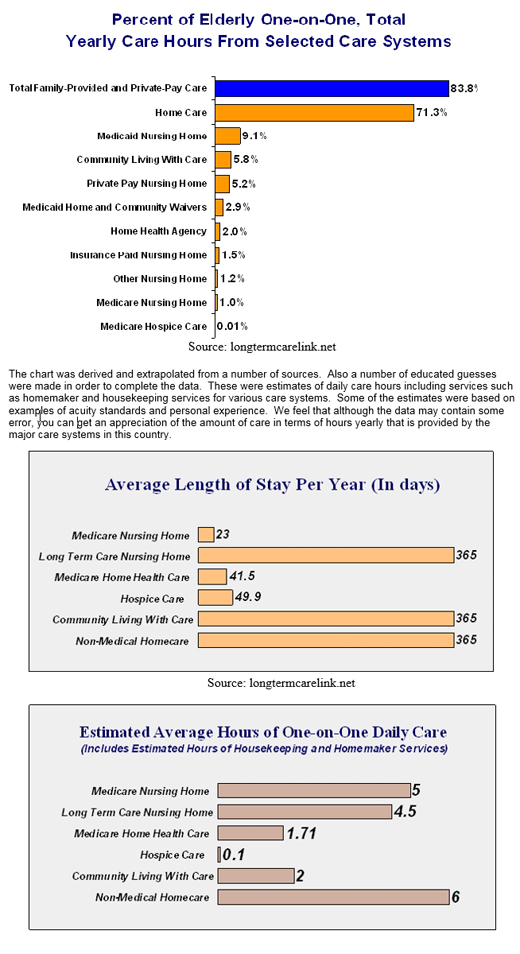 Nursing Home Charting