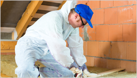Weatherization Assistance Program (WAP)