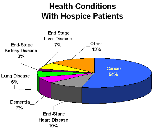 What kind of palliative care is offered for the end stages of kidney failure?