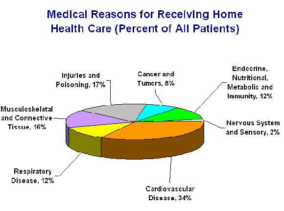 Who Pays For Long Term Care Pie Chart